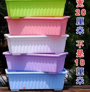 自发花生芽珍珠岩版的做法步骤 第1步