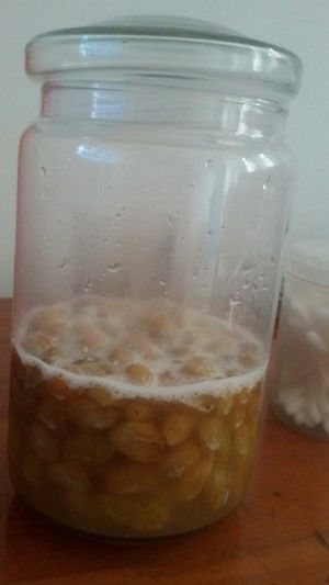 天然葡萄干酵母的做法步骤 第7步