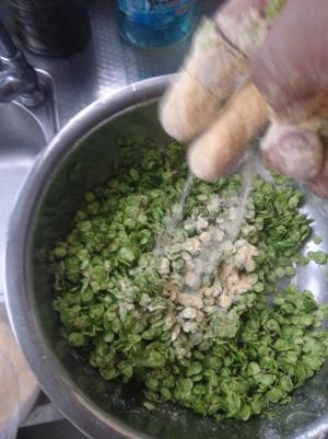 榆钱儿饭的做法步骤 第3步