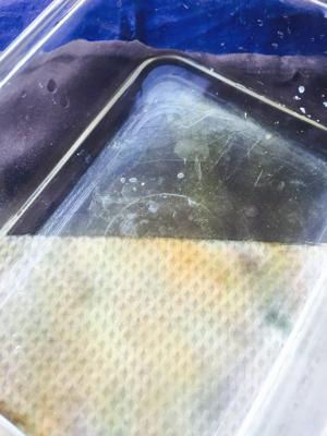 不会出错又上的了台面的芒果流心慕斯的做法步骤 第1步