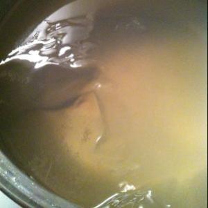 海藻冻的做法步骤 第4步