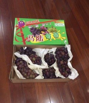 季节水果与营养价值的做法步骤 第15步