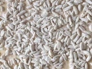 自制烩麻食 陕西美食的做法步骤 第1步