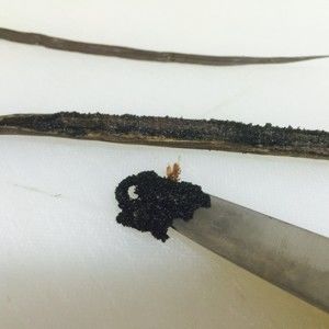 松露巧克力双重芝士蛋糕的做法步骤 第12步