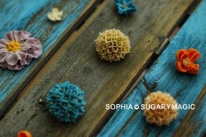 自然系裱花花型收录的做法步骤 第36步