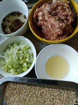 博山肉烧饼（地方名吃，舌尖上的中国，香酥可口）的做法步骤 第3步