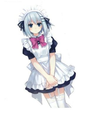 冻奶酪酸奶蛋糕的做法步骤 第12步
