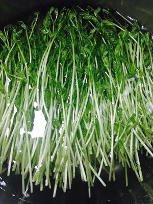 豆苗的春天（豌豆苗鸡蛋羹）的做法步骤 第3步