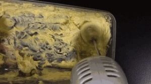 歌剧院蛋糕的做法步骤 第3步