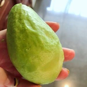 宝宝辅食 苹果胡萝卜饼🥕的做法步骤 第16步