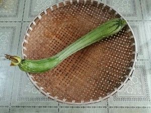 游鱼菜谱:丝瓜黑木耳炒毛豆秋季养生菜的做法步骤 第2步