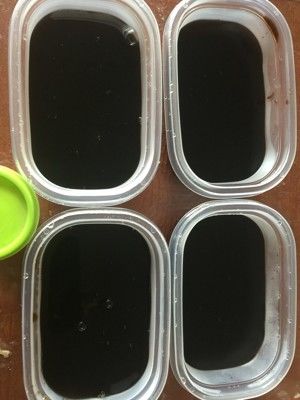 水果椰奶西米龟苓膏的做法步骤 第1步