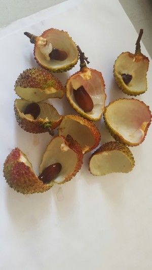 一秒钟剥荔枝的做法步骤 第5步