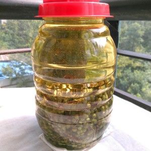 花椒油的做法步骤 第3步
