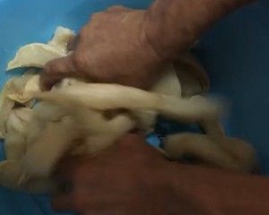 白萝卜干：韧中带脆的做法步骤 第3步
