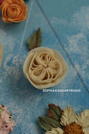 自然系裱花花型收录的做法步骤 第13步