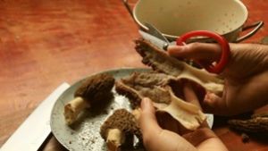 羊肚菌石斛鸡汤的做法步骤 第4步