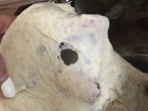 蔓越莓核桃软欧包的做法步骤 第3步