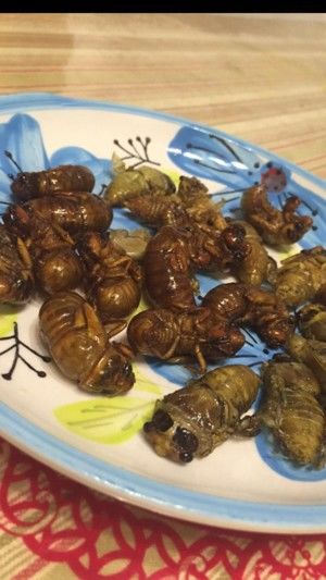 干煸金蝉(俗称知了、爬蚱)的做法步骤 第1步