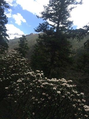 放飞心情中的做法步骤 第4步