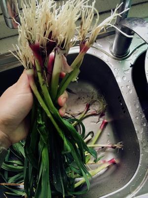 凉拌大蒜头的做法步骤 第1步