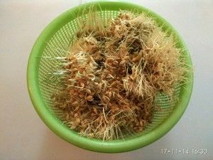 自制传统麦芽糖的做法步骤 第8步