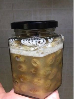 葡小天生长记（葡萄干天然酵种）的做法步骤 第11步
