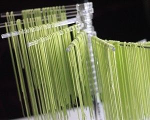 Ka面条机配件—菠菜面的做法步骤 第6步