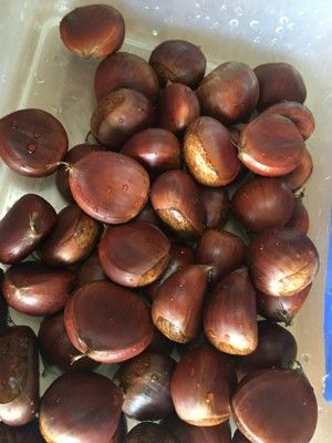 栗子（空气炸锅）的做法步骤 第1步