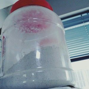 香蕉奶茶代餐奶昔的做法步骤 第7步