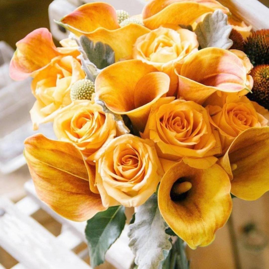 爱做面包的小熊笨笨