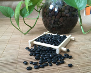 黑豆黄心和绿心哪个好?黑豆是绿心的好还是黄心的好