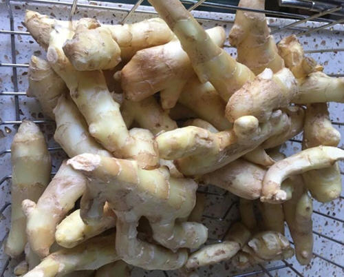 醋泡仔姜片的做法与作用窍门讲解7