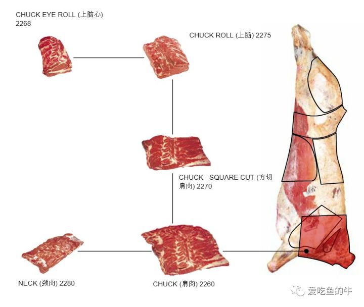 牛排部位的介绍和口感图解4