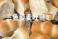三色藜麦吐司｜沉浸式做吐司的做法