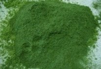 小麦若叶(自制青汁)的做法