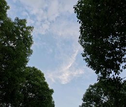 笃烂面/素版(江南菜)的做法