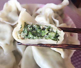 美味私房茴香猪肉馅饺子的做法