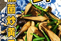 鸡枞菌炒黄瓜苗的做法