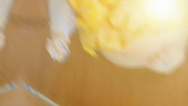 清炖老母鸡的做法