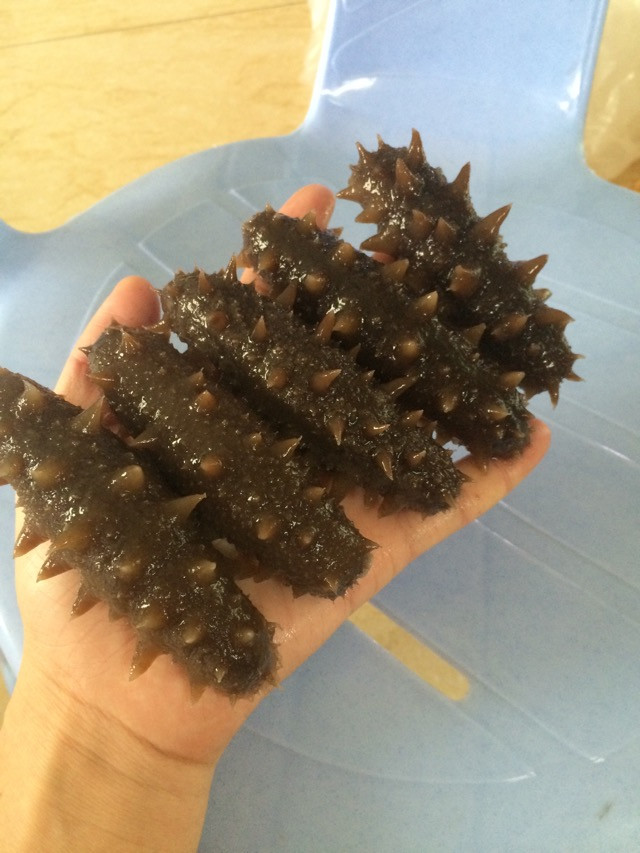 海参泡发的做法