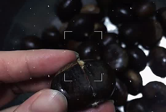 无油无糖高压锅板栗的做法