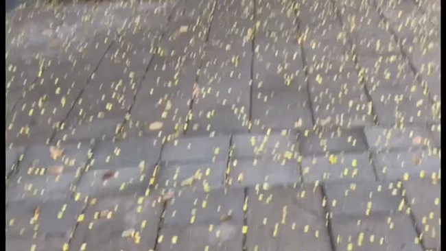 杨桃罐头的做法