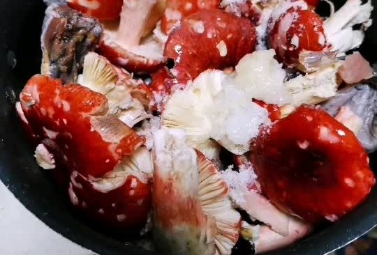 大红菌煮鸡的做法