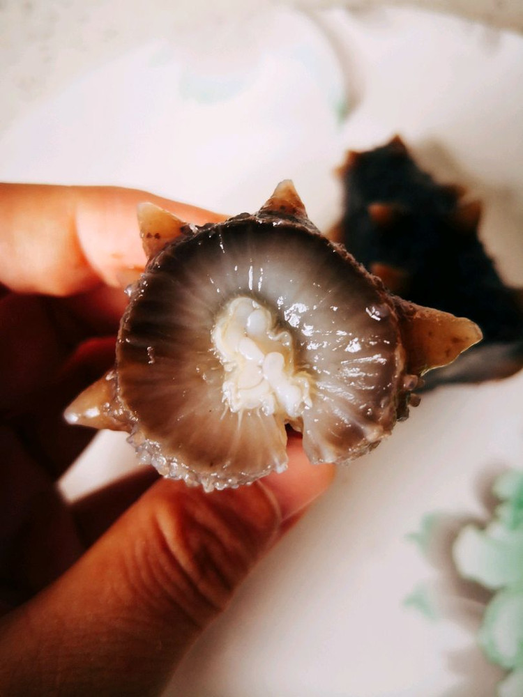 海参泡发的做法