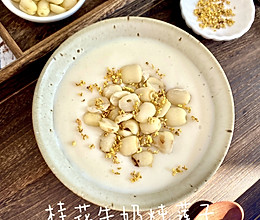 桂花牛奶炖莲子的做法