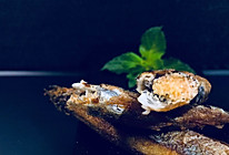 香煎多春鱼的做法