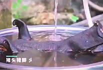 酸肉的做法