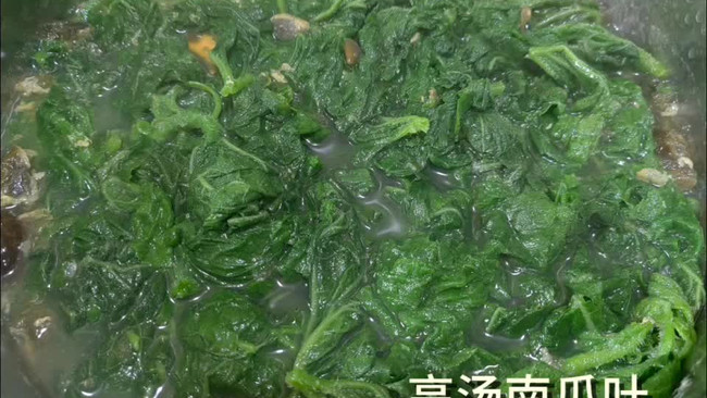 高汤南瓜叶的做法