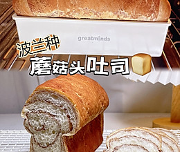 可可蘑菇头吐司味柔软好吃波兰种的做法